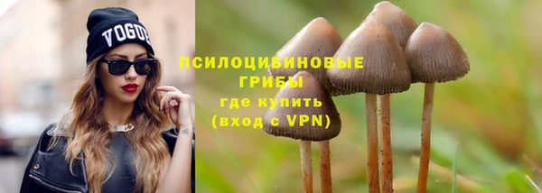 ПСИЛОЦИБИНОВЫЕ ГРИБЫ Баксан
