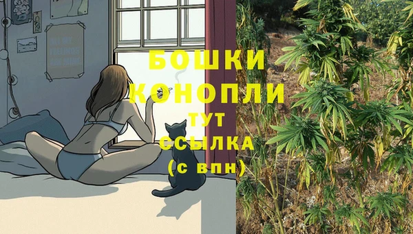 ECSTASY Балахна