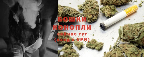 ПСИЛОЦИБИНОВЫЕ ГРИБЫ Баксан