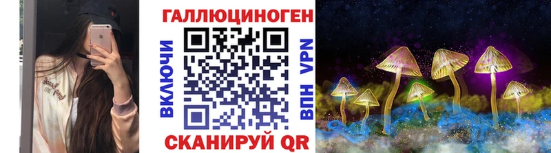 закладки  Котово  Псилоцибиновые грибы ЛСД 