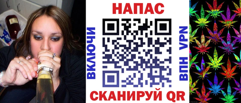 Бошки Шишки планчик  закладка  Котово 